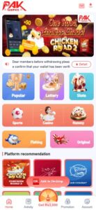 Why Pak Game is Gaining Rapid Popularity