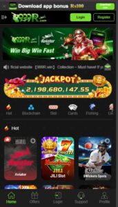 999r App Description